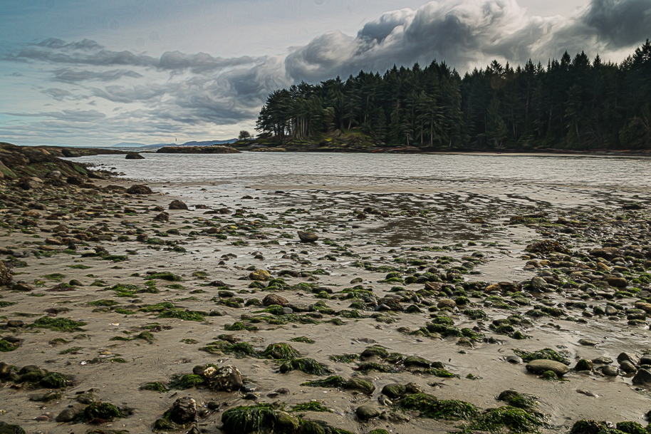 Low tide at Dionisio's lagoon