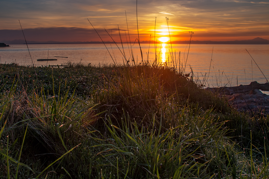 April dewy sunrise